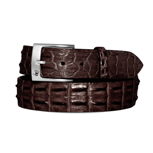 Salt Water Crocodile Belt - Brown